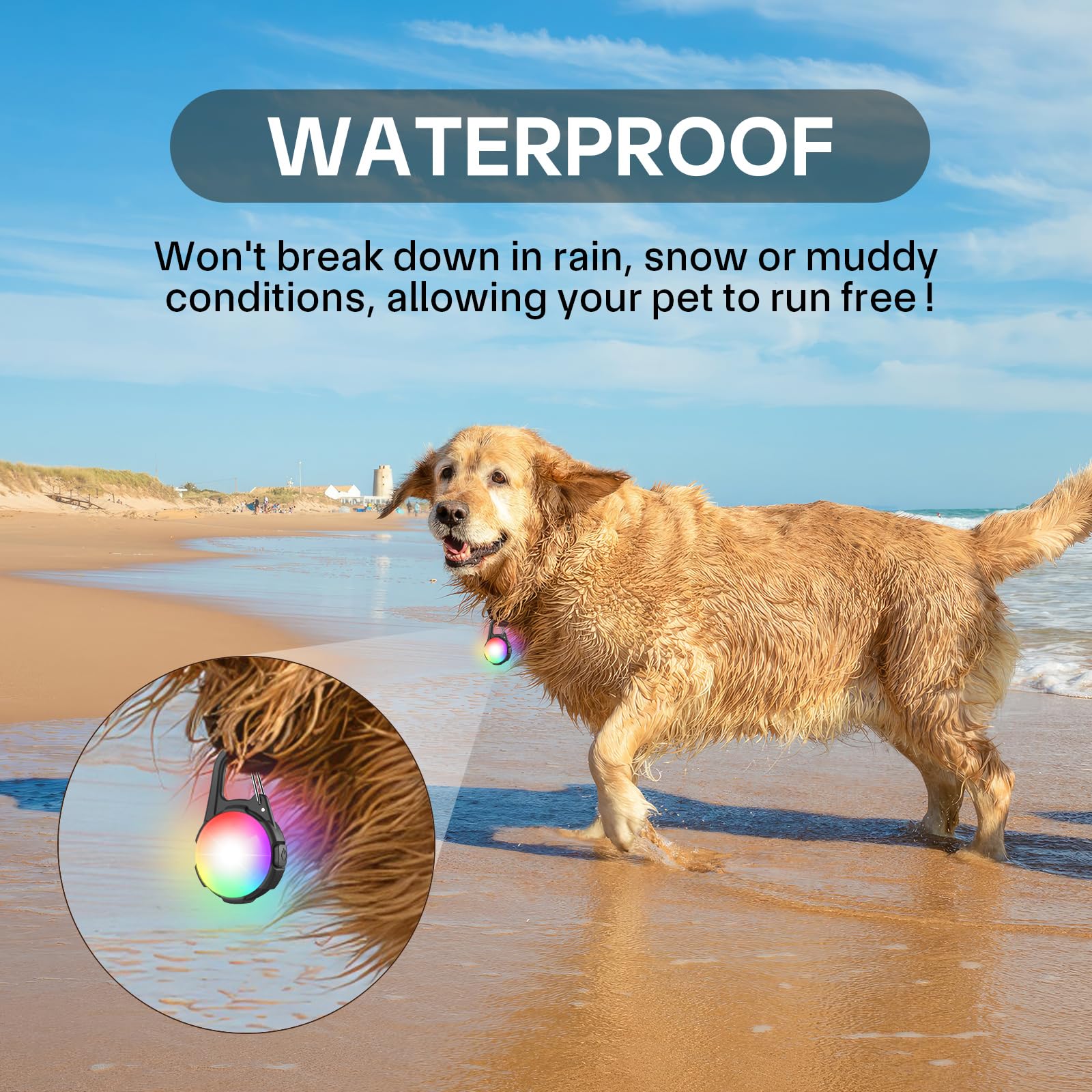 Coolice dog lights waterproof and drop-proof design for outdoor use.