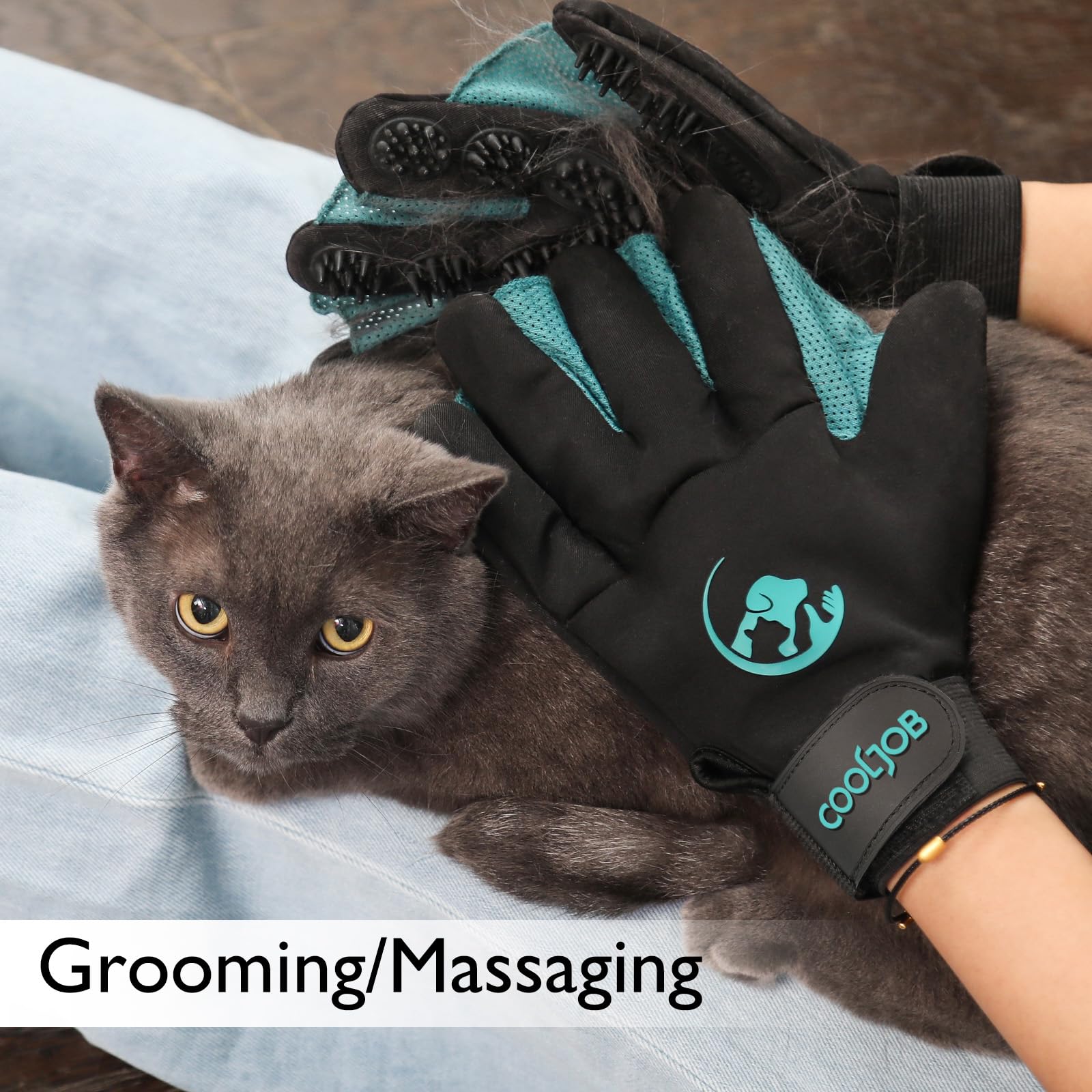 COOLJOB Glove shown versatile across dogs, cats, rabbits, and horses for all coats.