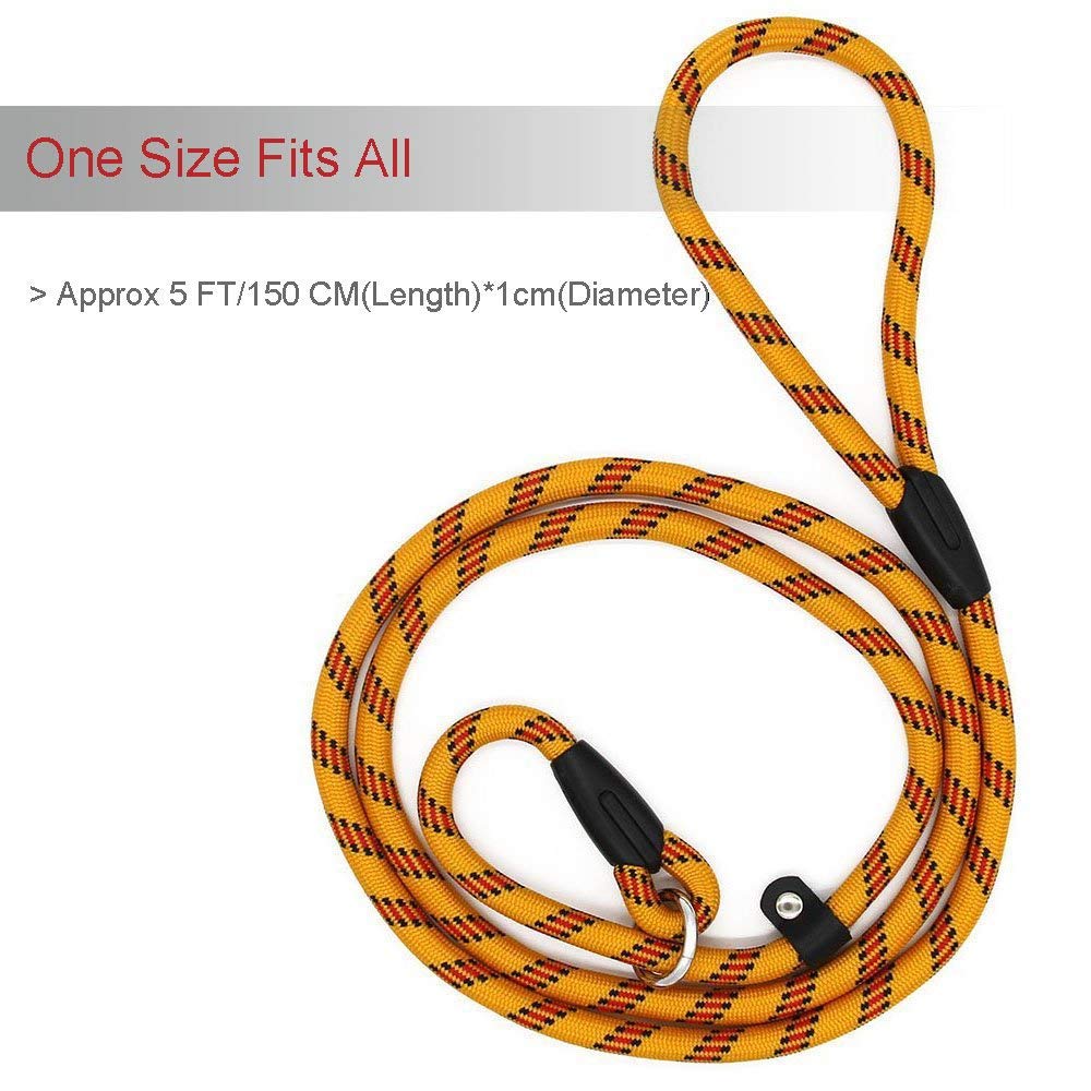 Coolrunner 2-in-1 collar-leash design reduces gear while maintaining control.