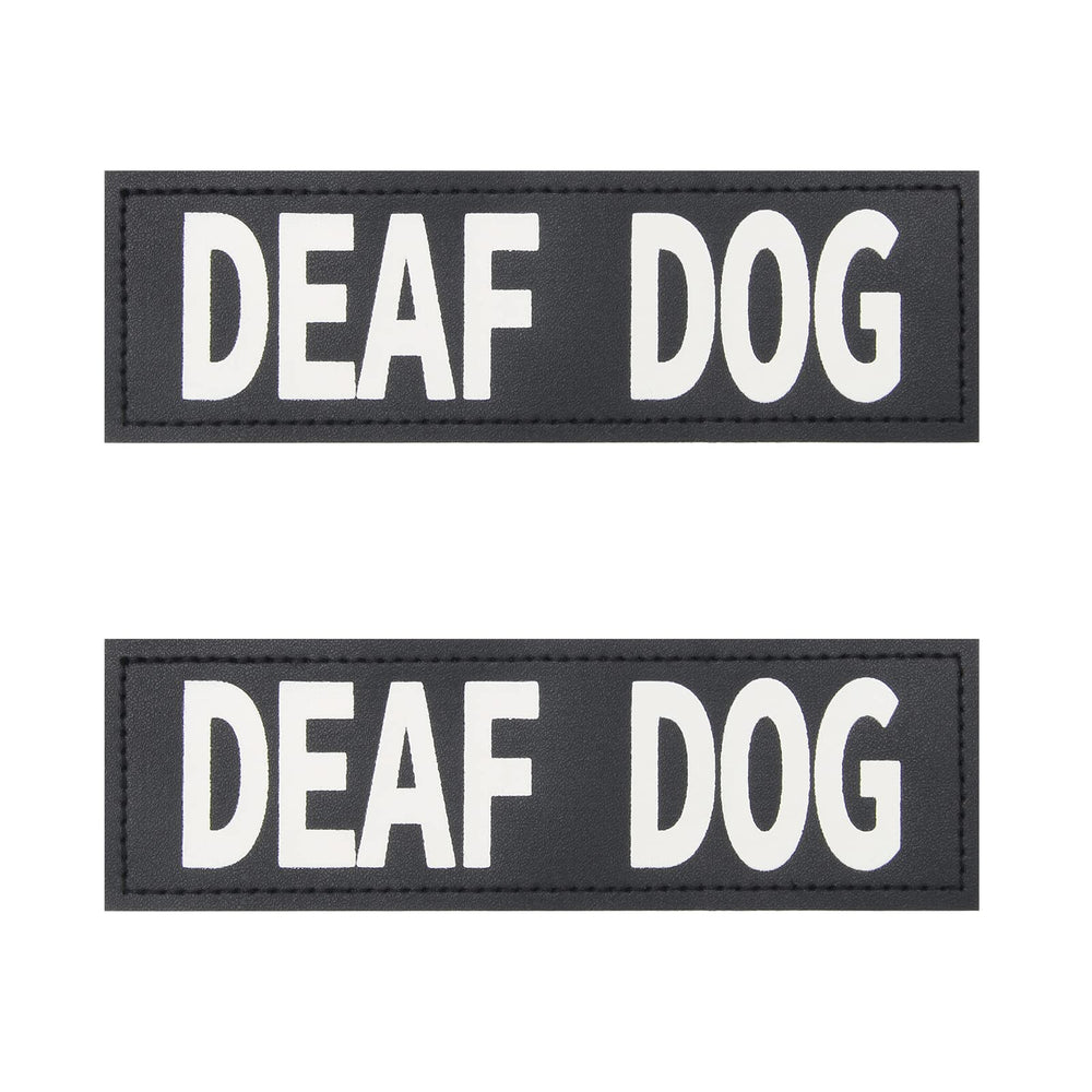 Coolrunner deaf dog patches on harness clearly show a no-pet cue for safer walks