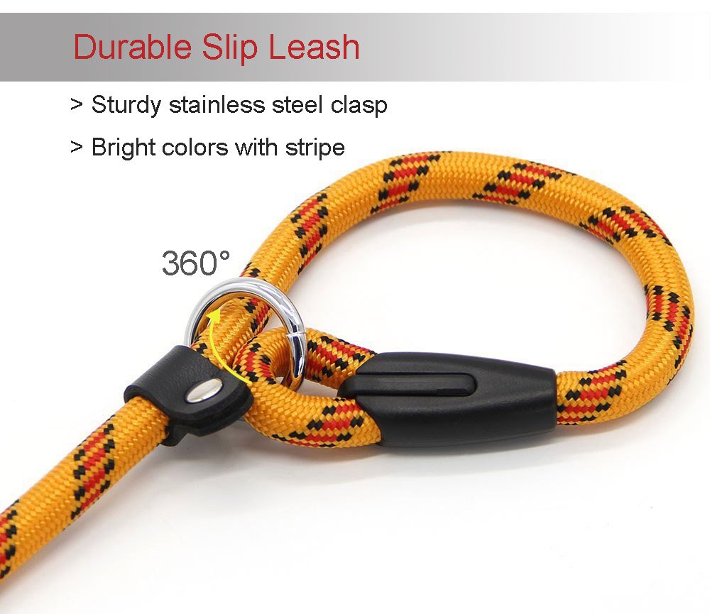 Coolrunner dog-training example showing tightening and releasing motion during recall practice.