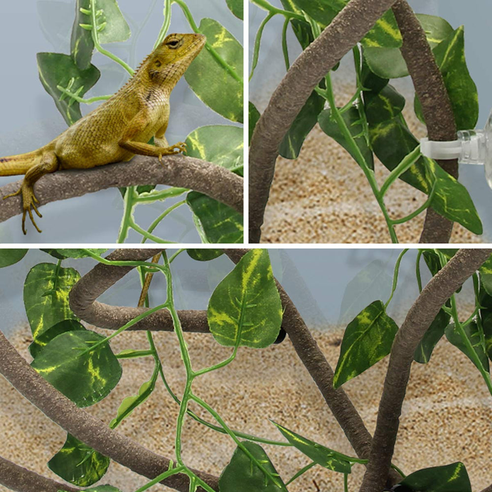 Coolrunner long vines enhance enclosure with natural-looking climbing routes.