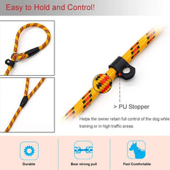 Coolrunner nylon rope leash in yellow on a walking dog for high visibility.