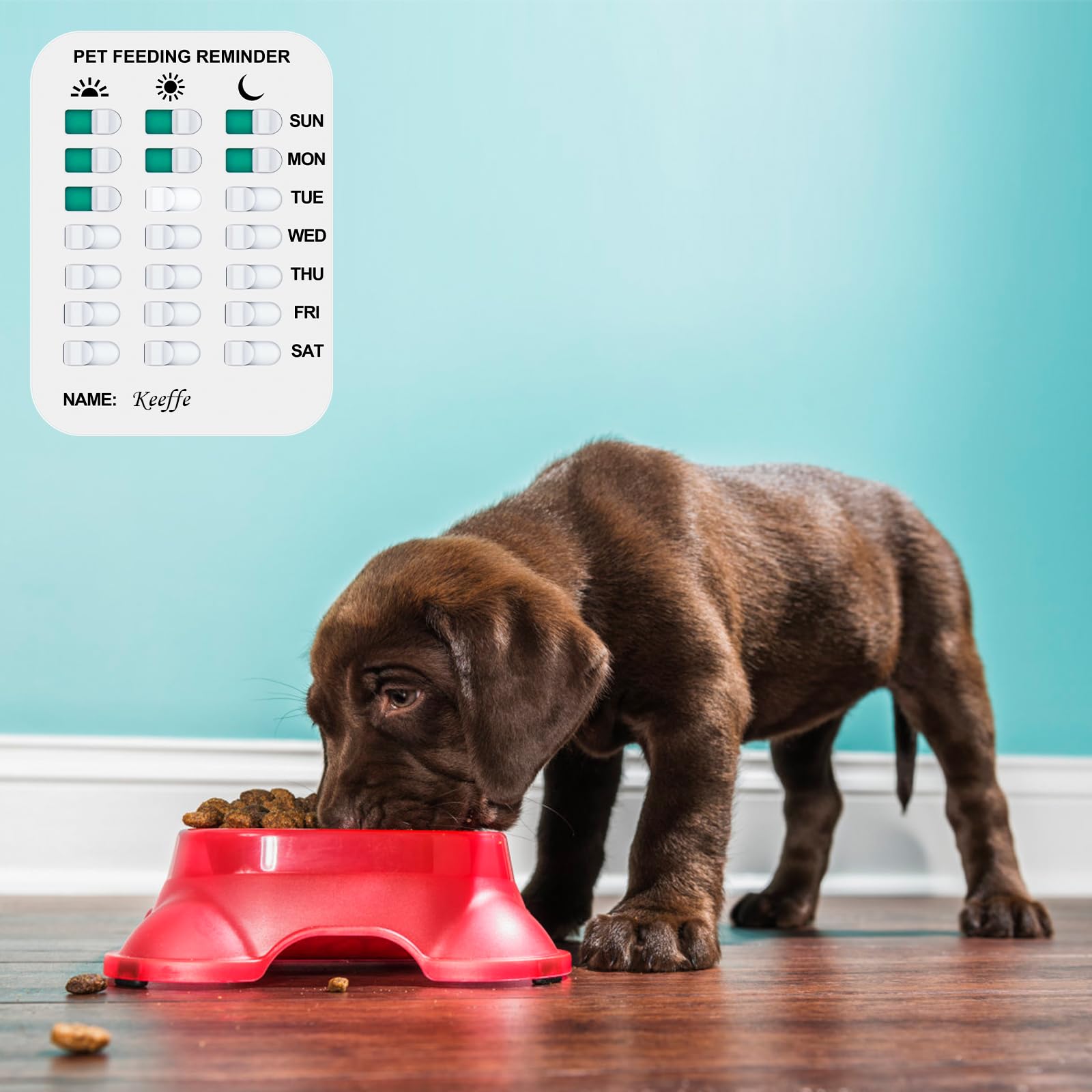 Coolrunner Pet Feeding Reminder magnet attachment demonstrates versatile fridge or wall mounting.