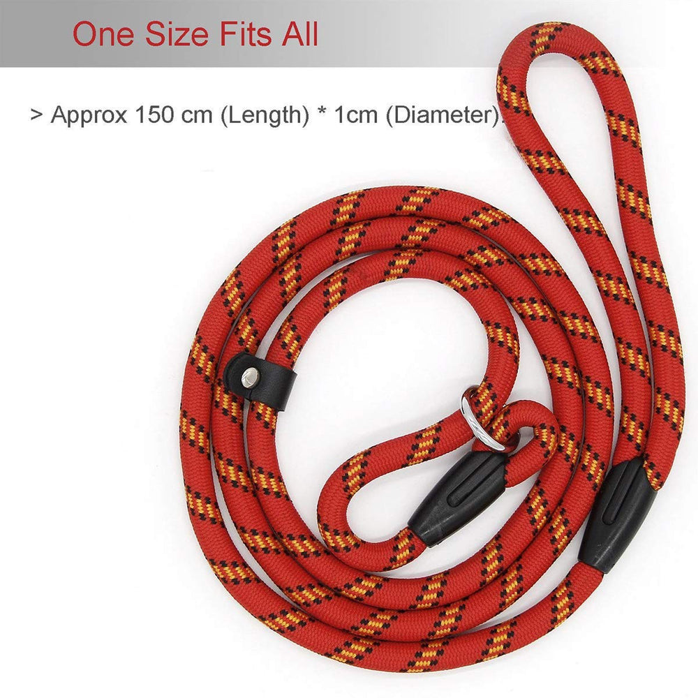Coolrunner Red Brand 2-in-1 collar-leash design in action during a walk.