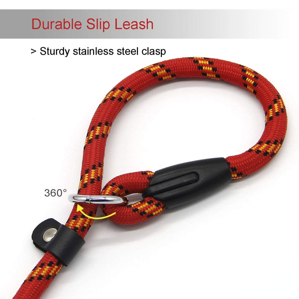 Coolrunner Red Brand 5ft leash for small to medium dogs during strolls.