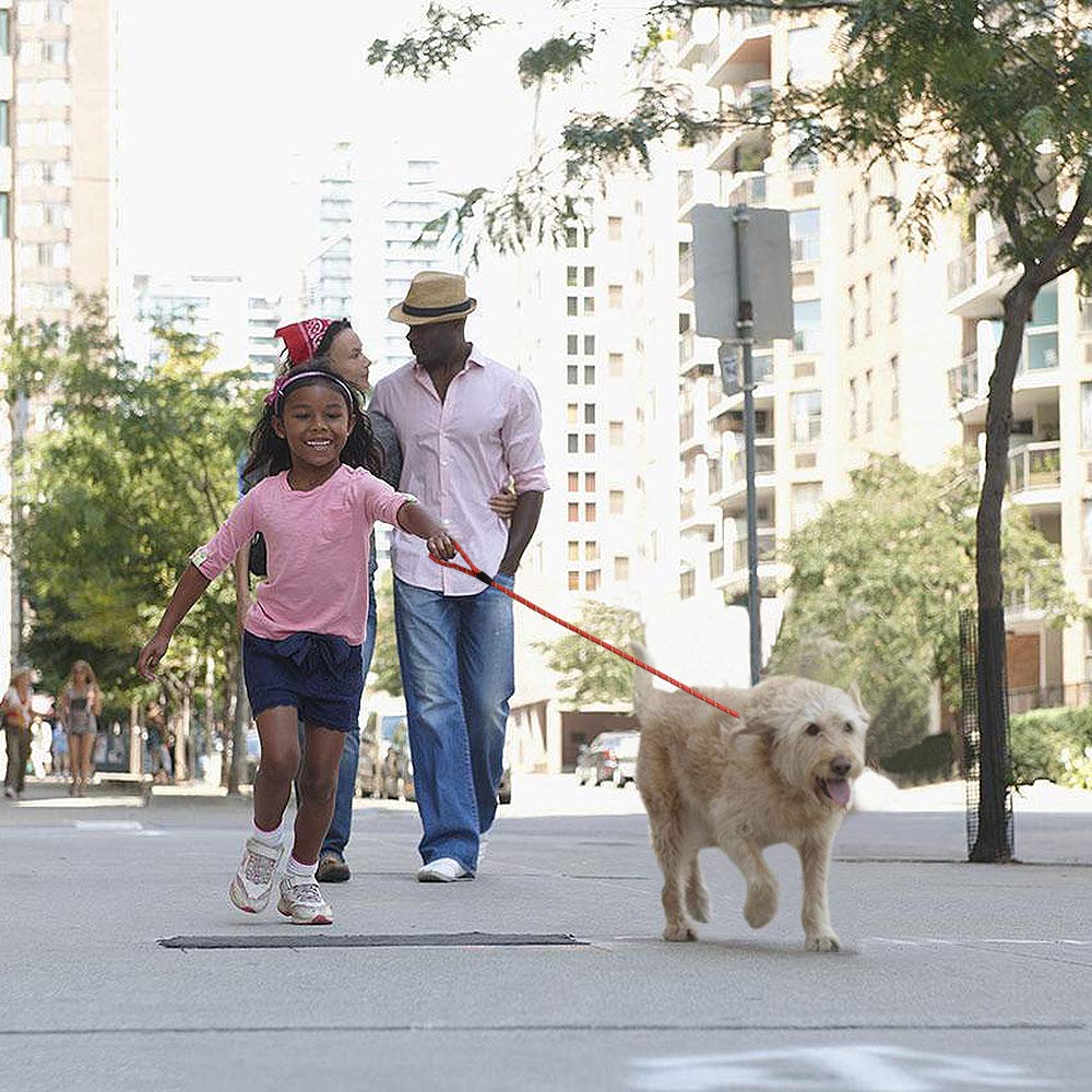 Coolrunner Red Brand care tip: prevent chewing to extend life of leash.