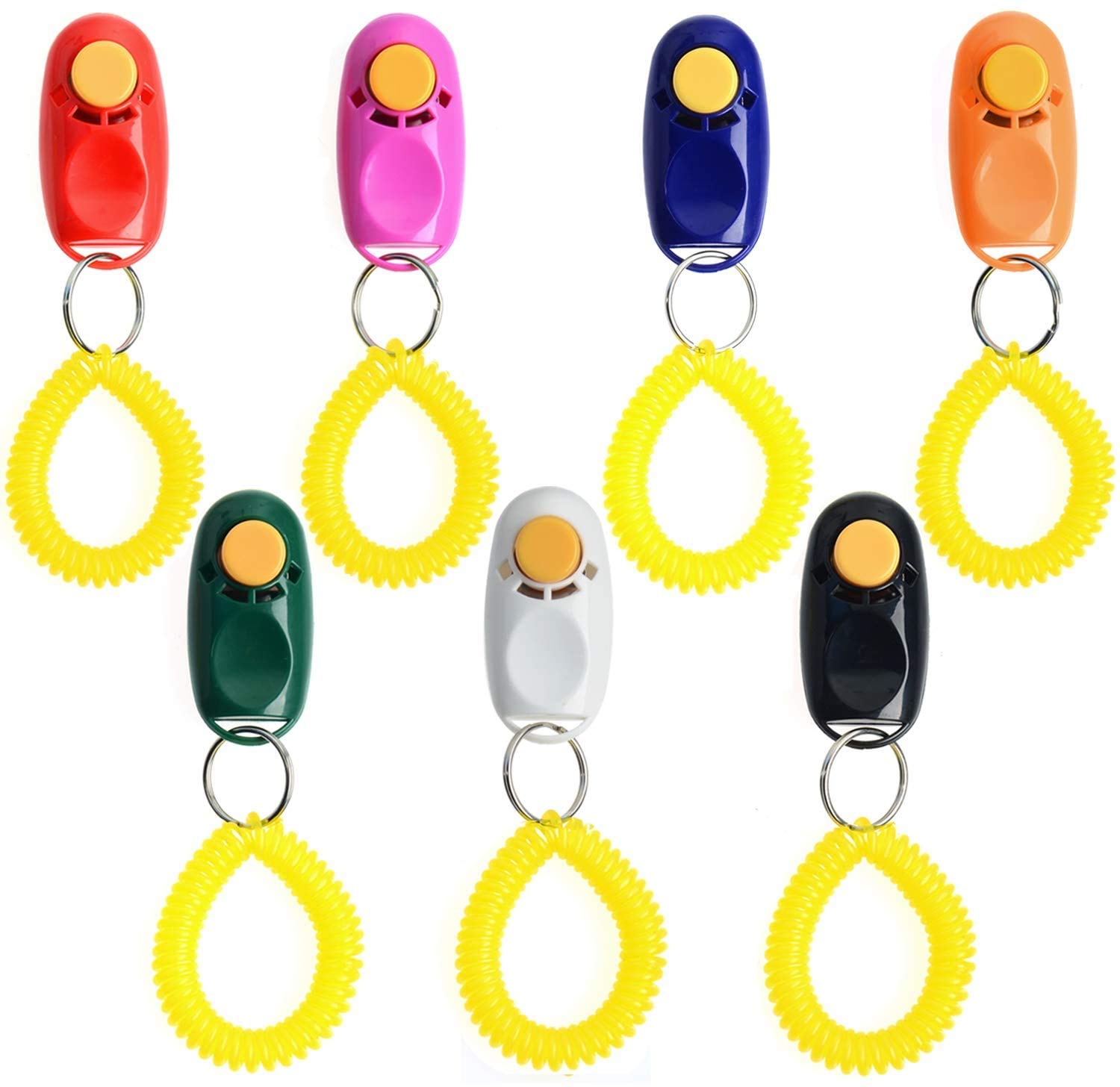 Coolrunner training clicker in action helping teach basic cues and tricks.