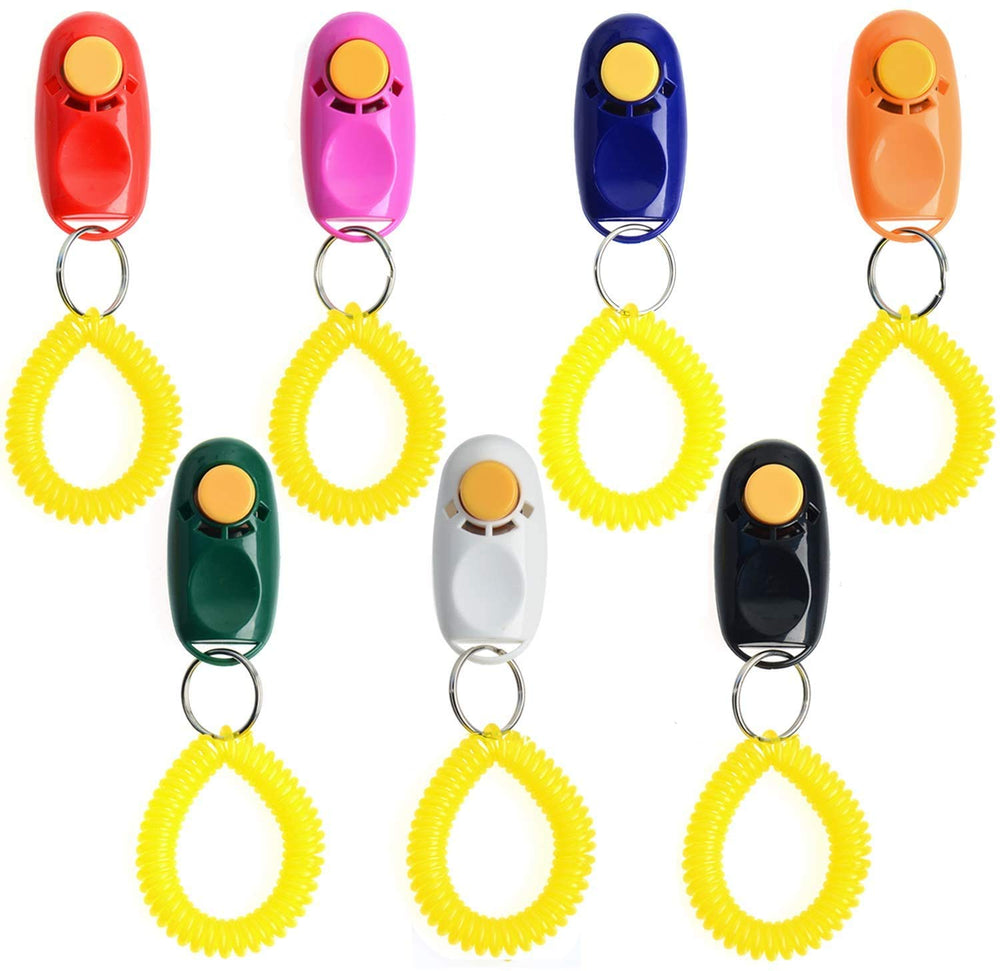 Coolrunner training clicker in action helping teach basic cues and tricks.