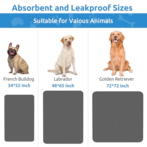 CoolShields tapete impermeable 34x52 para perros, evita goteos en su recinto