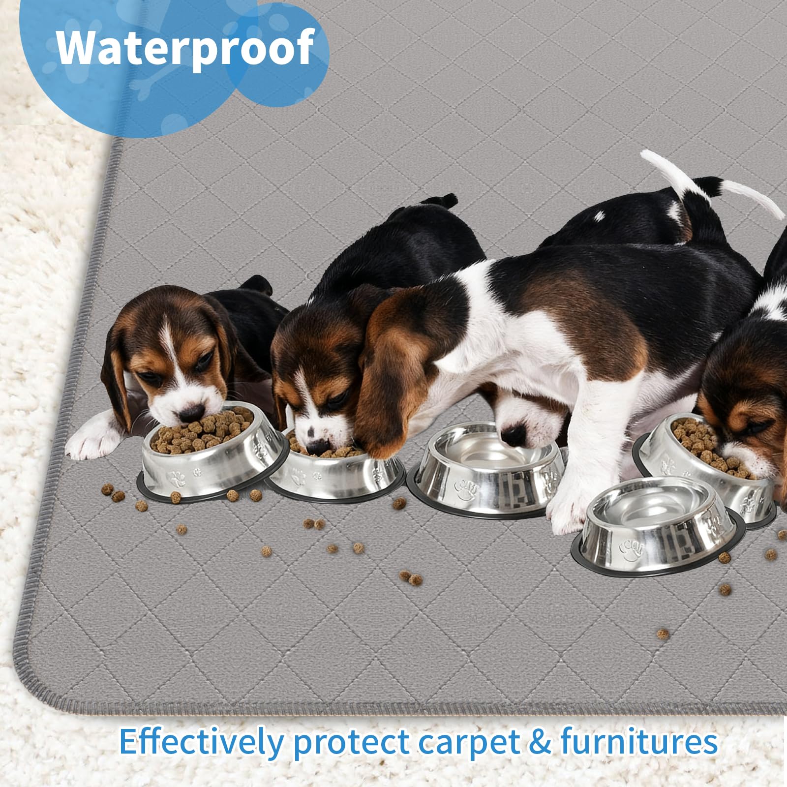 CoolShields 2-pack group shot highlighting reusable, machine-washable design for long-term pet care