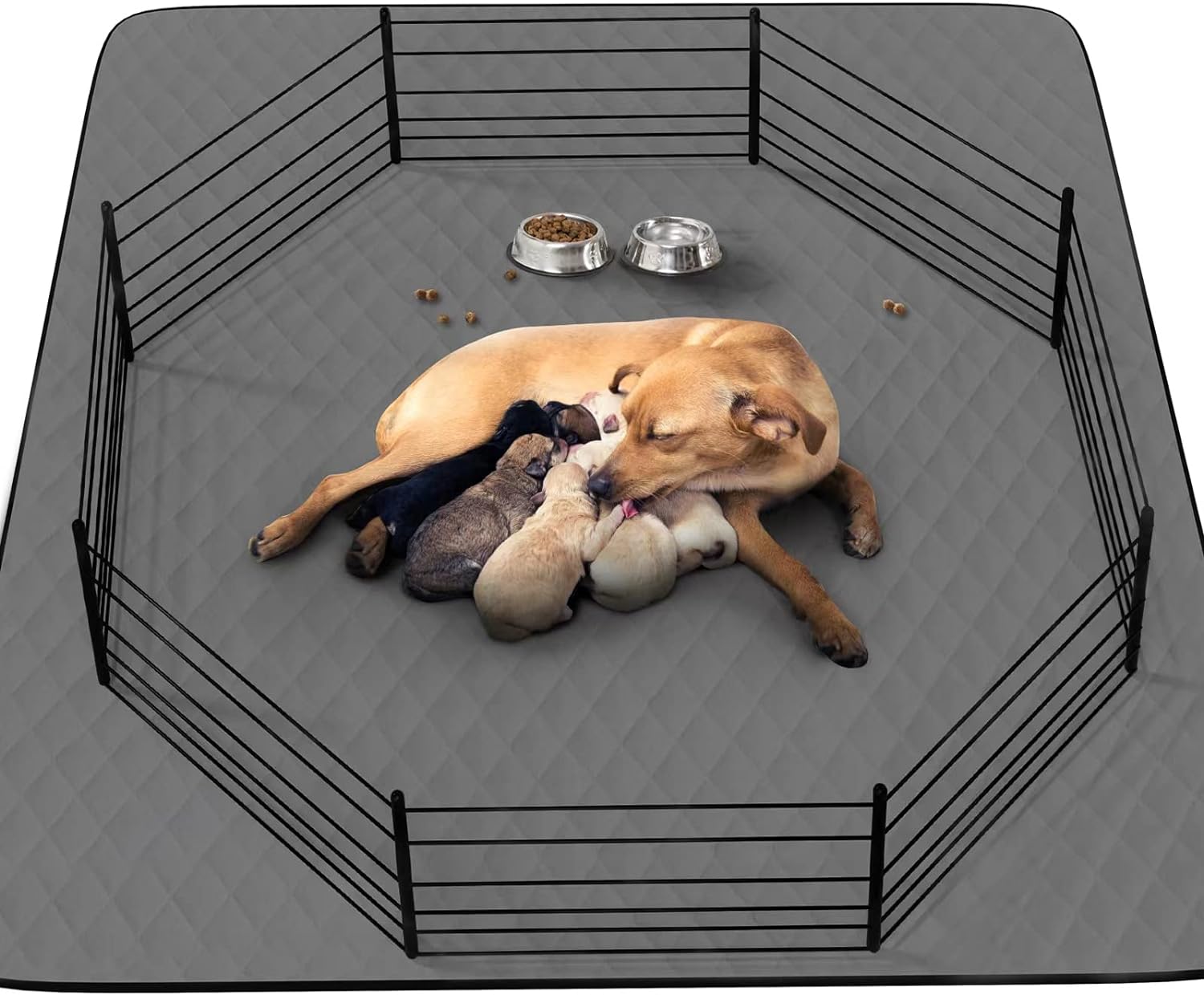 CoolShields washable puppy pad flat view showing large 34x52 size for home training and protection