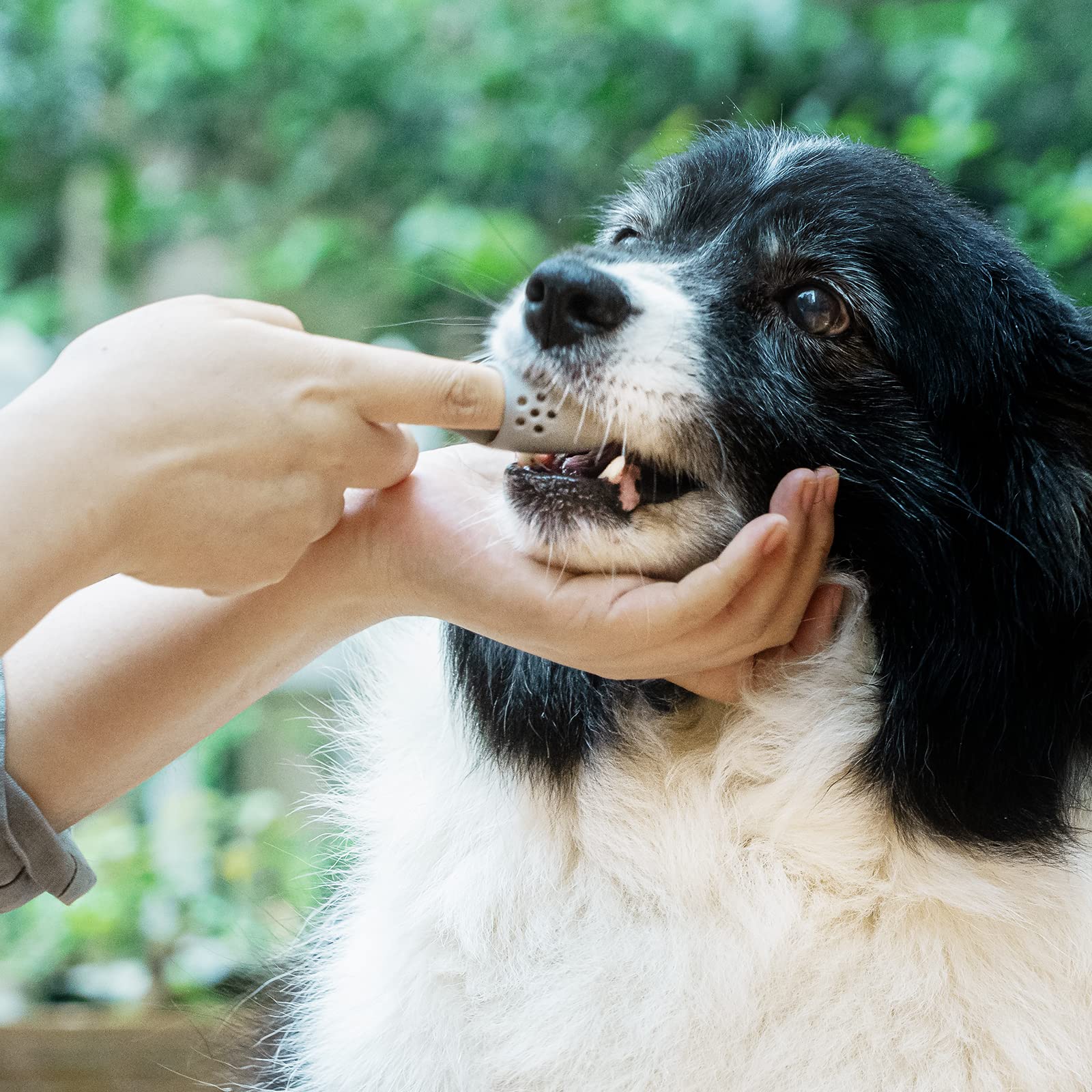 Coomazy dog finger toothbrush hanging port for easy drying and reuse