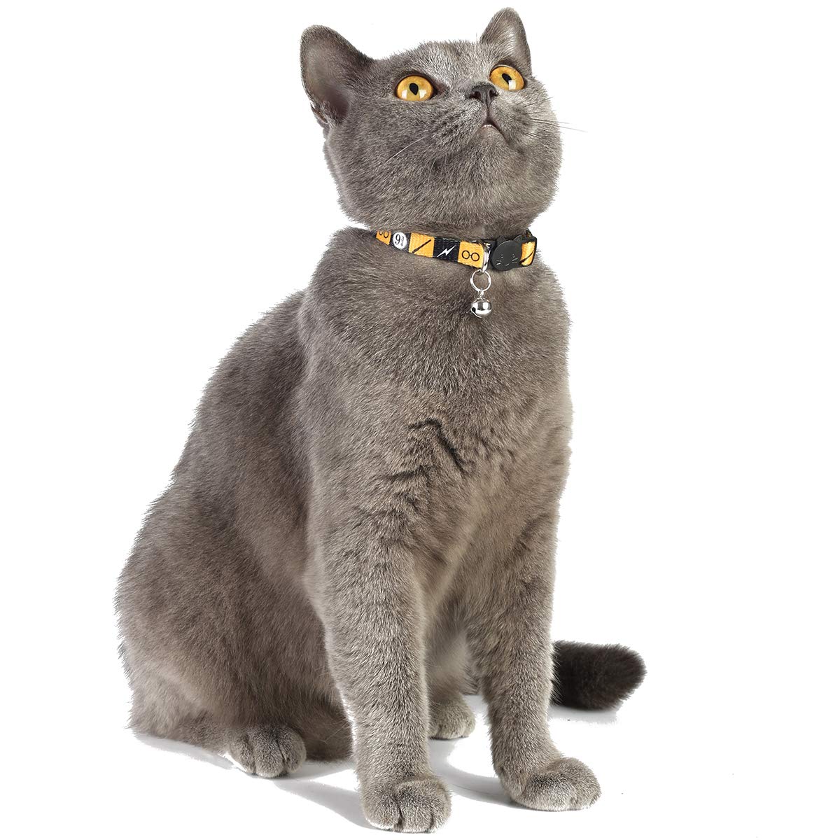 Coomour yellow Halloween cat collar ideal for photos and daily wear.