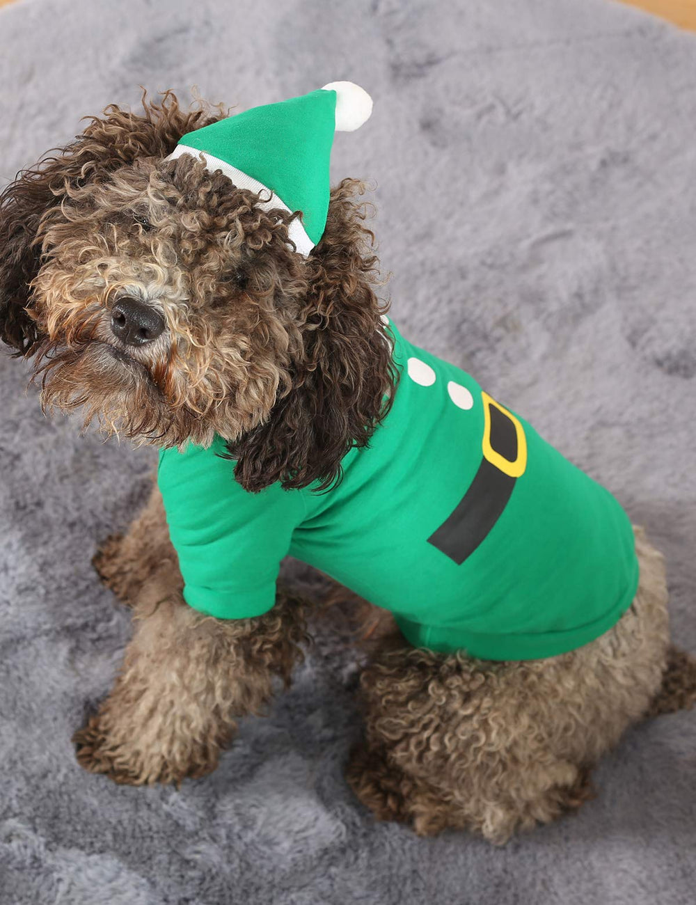 Coomour Christmas dog shirt in action during a cozy photo session at home.