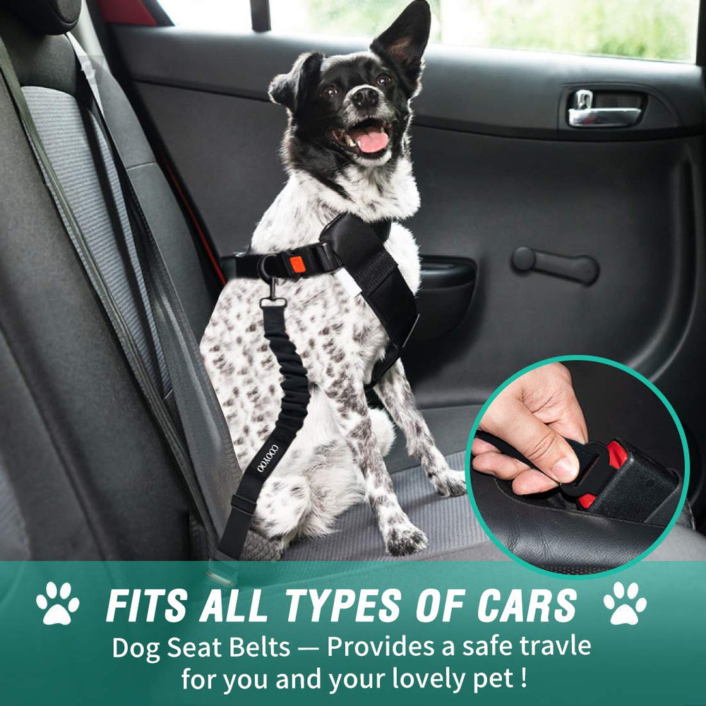COOYOO dog seat belt elastic buffer absorbs jerks for smoother rides.