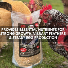 Closeup of Coop Care Chicken Scratch showing 12 percent protein for growth support