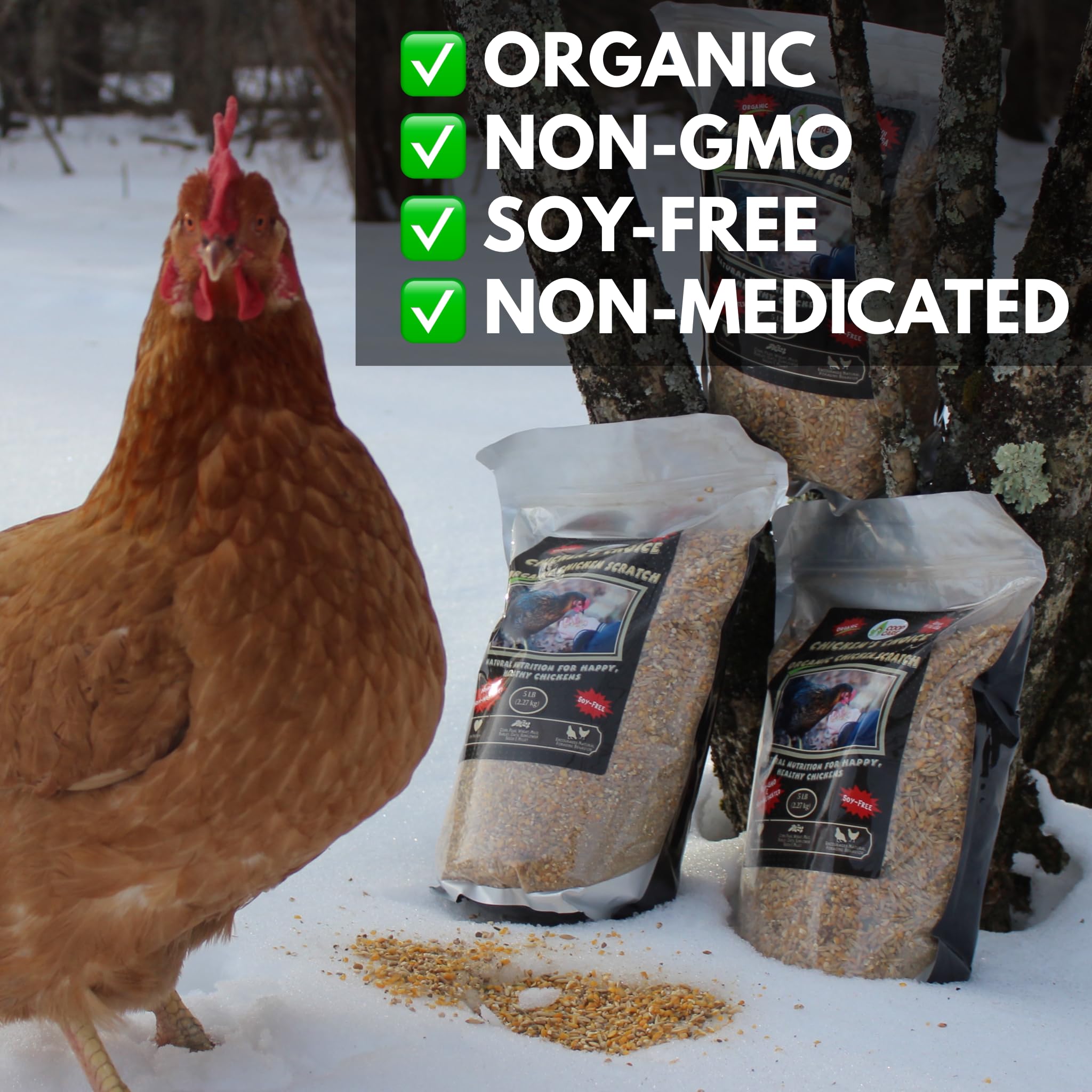 USA-made organic Chicken Scratch label from Coop Care highlighting quality