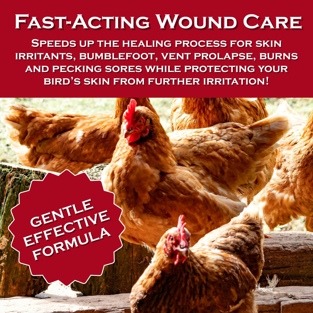 Coop Care pecking sore relief aiding healing in hens