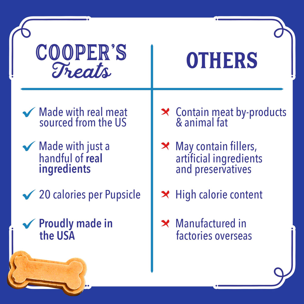 Cooper's Treats Pupsicle Mix delights dogs during outdoor play.