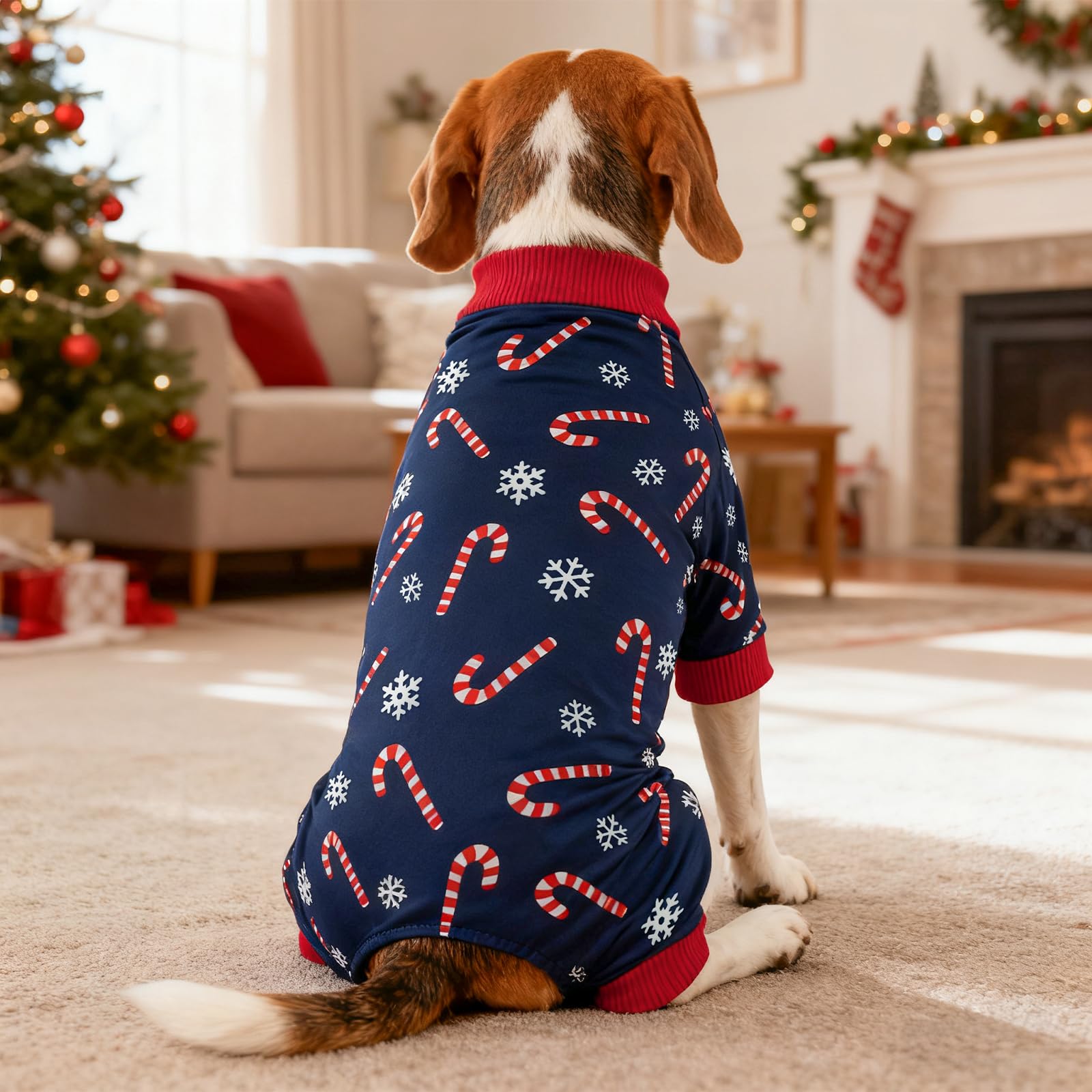 CooShou Christmas dog pajama on a dog during holiday photos.