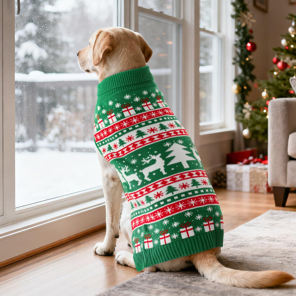 CooShou festive pet outfit for indoor and outdoor holiday wear