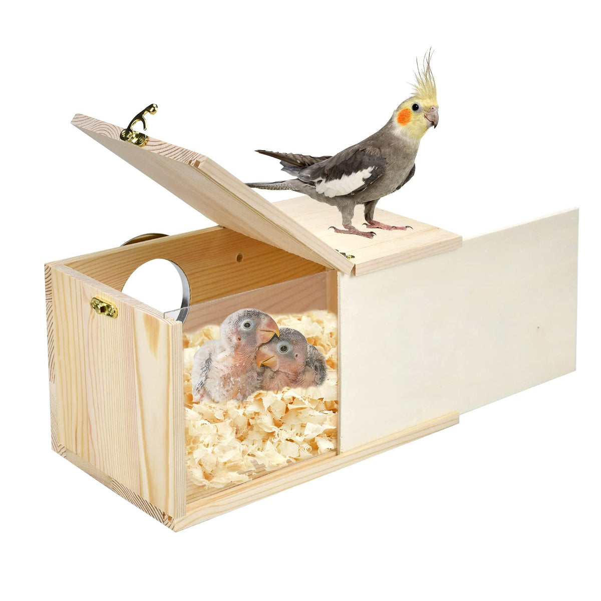 CooShou parakeet nesting box front view with clear acrylic for easy observation