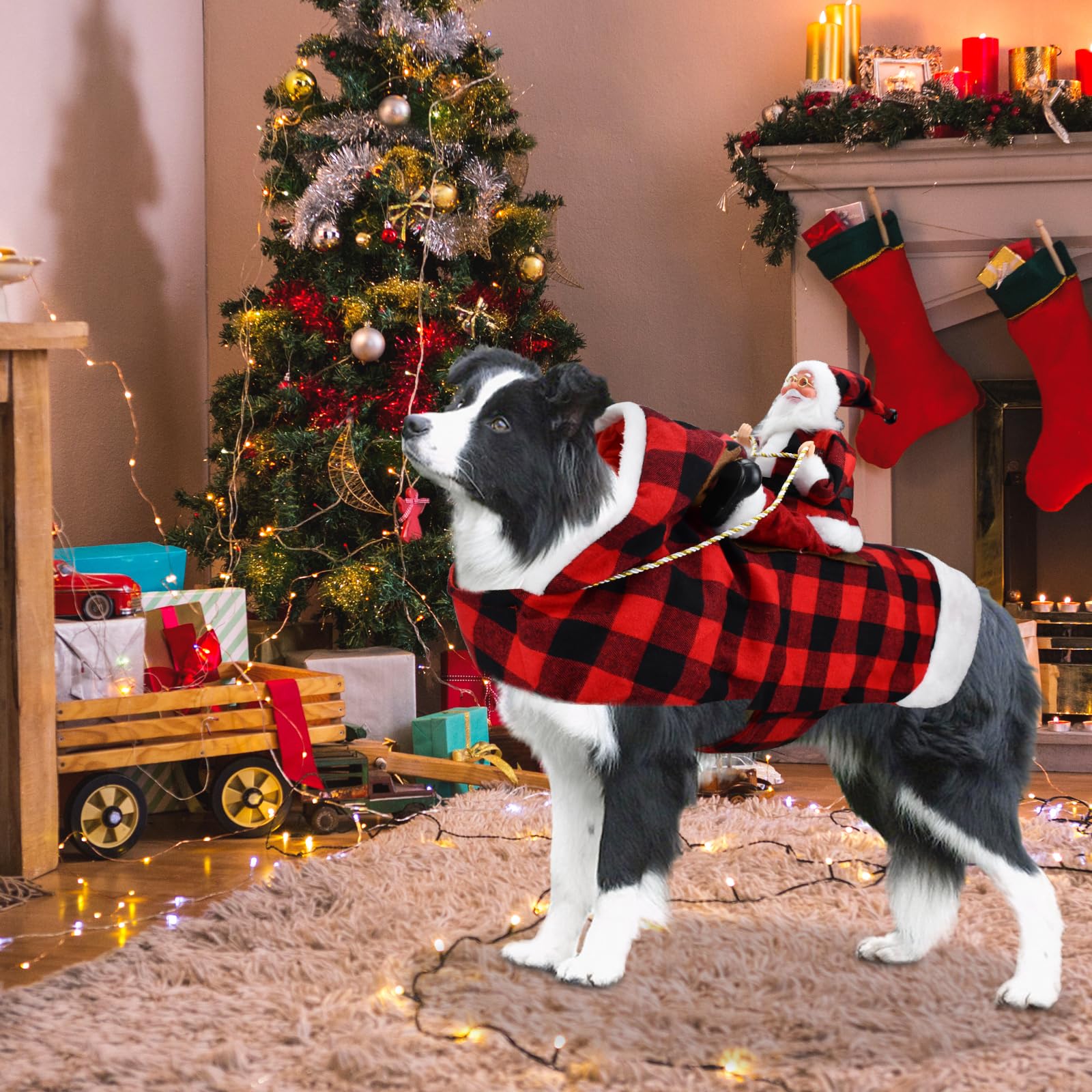 CooShou Santa dog costume size chart overview for proper fit guidance.