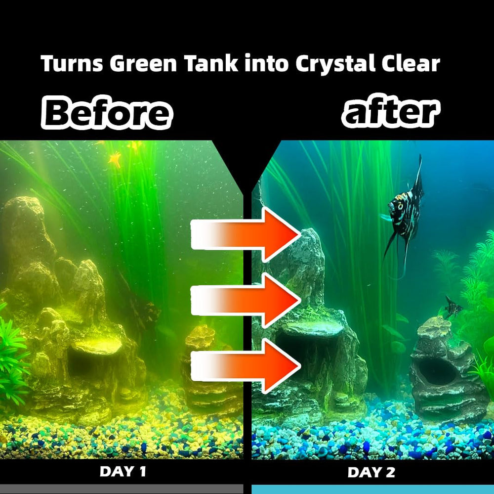 COOSPIDER submersible pump installed inside an aquarium