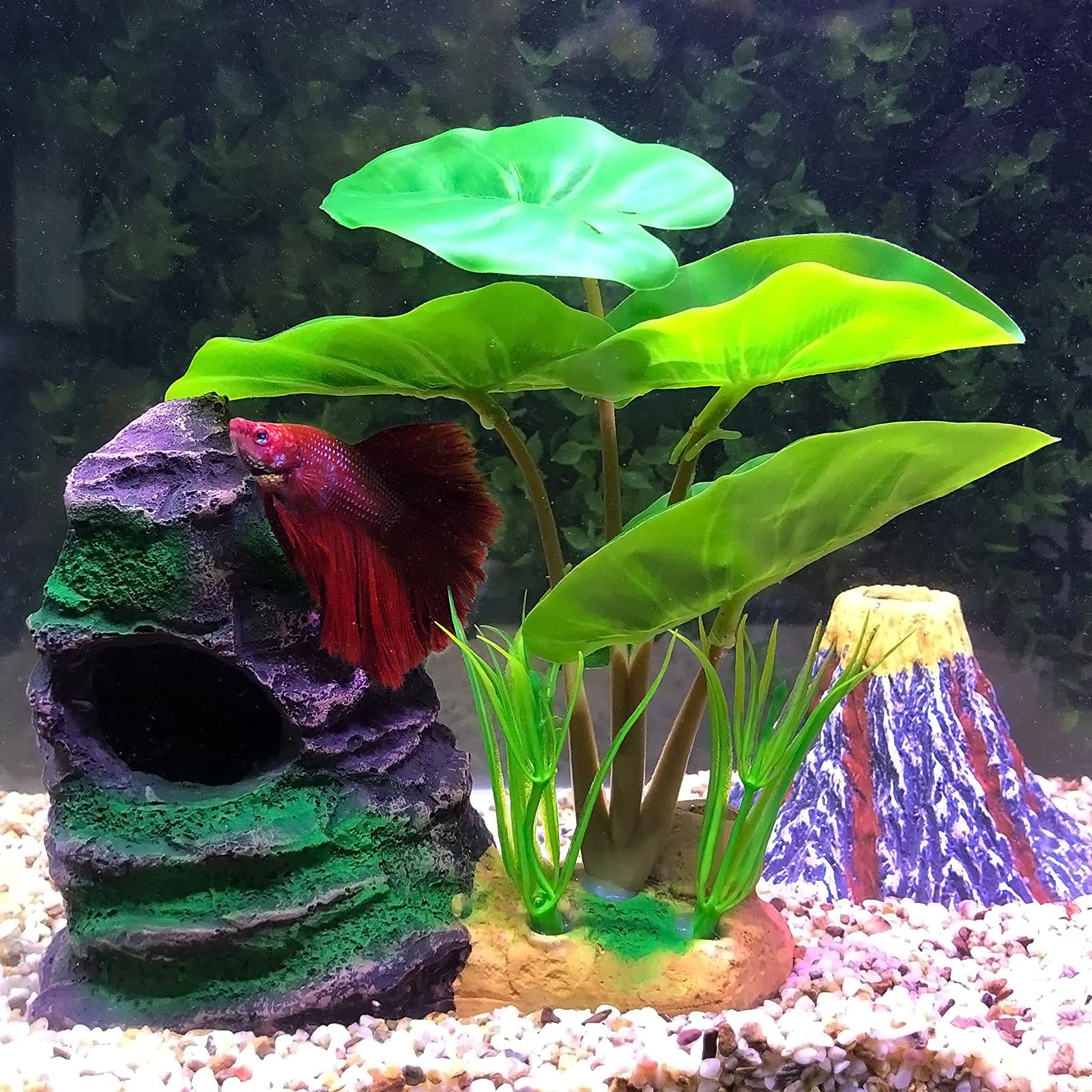 COOSPIDER Betta sleeping cave scene enhances aquarium aesthetics while giving resting spots.
