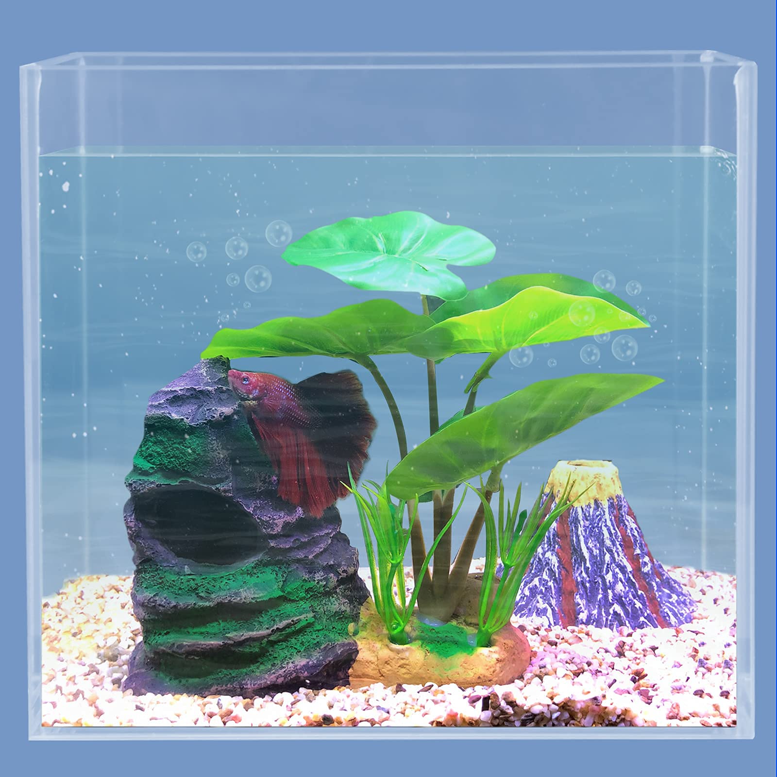COOSPIDER Betta small tank compatibility supports 2.5gal setups and micro aquariums.