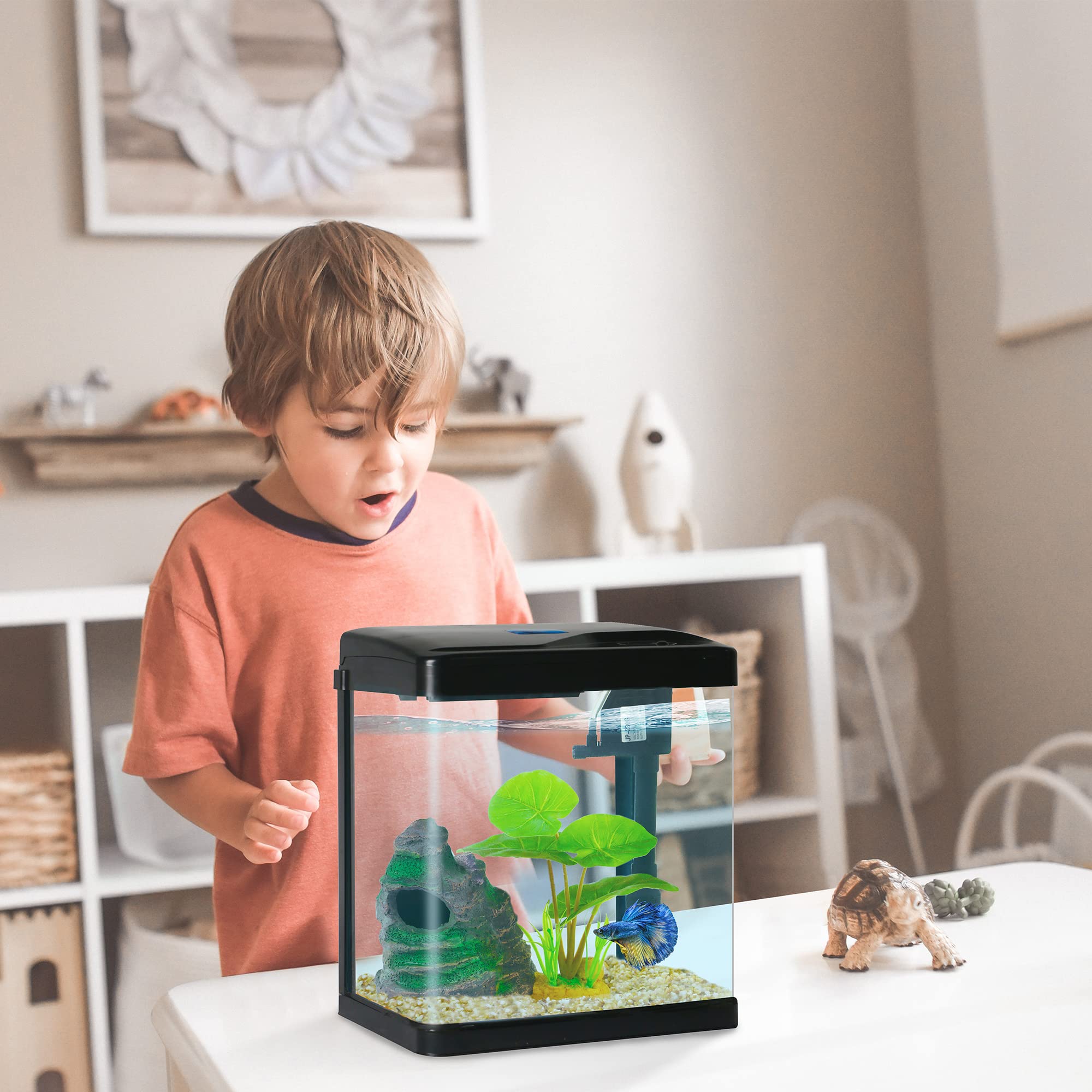 COOSPIDER Betta Tank glass front with rounded edges for safety and durability