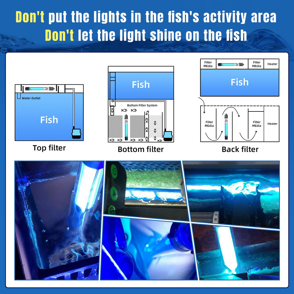 Coospider-Repta 7W UV light sits in filter delivering gentle algae suppression.