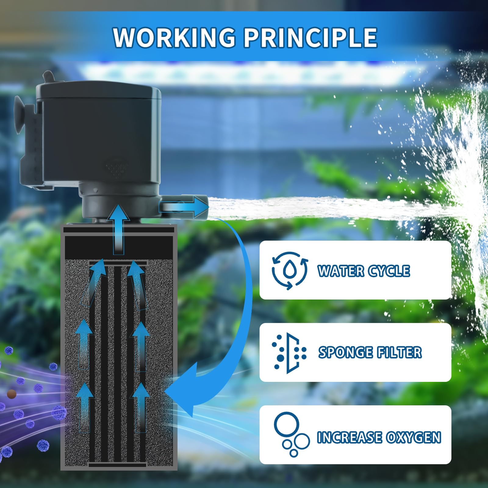 Coospider-repta filter in-tank installation shows easy setup for 15-40 gallon tanks.