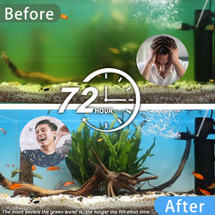 coospider-repta UV lamp image highlights disinfection helping clear green water and algae control
