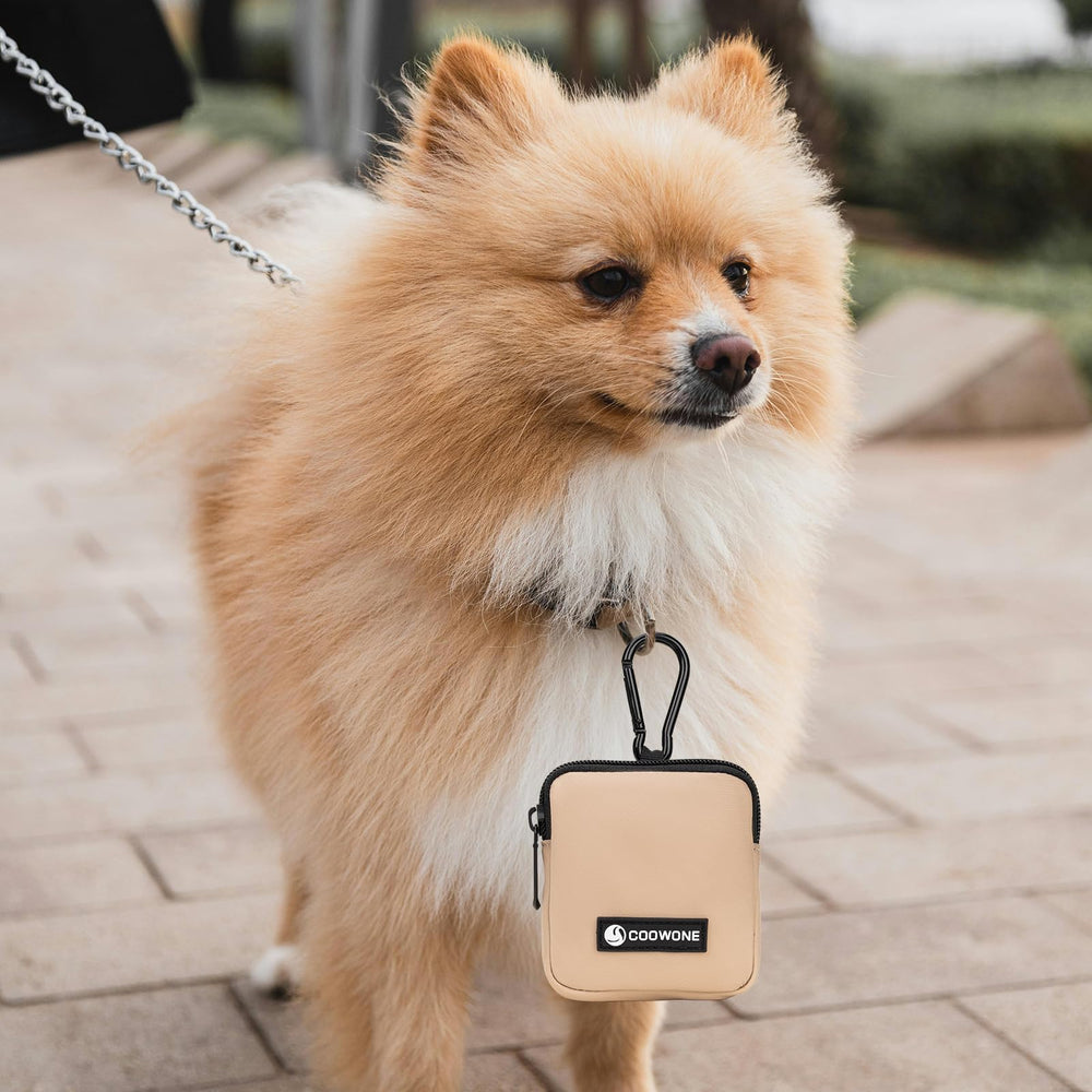 COOWONE dog treat pouch reinforced carabiner for durability during outdoor use.