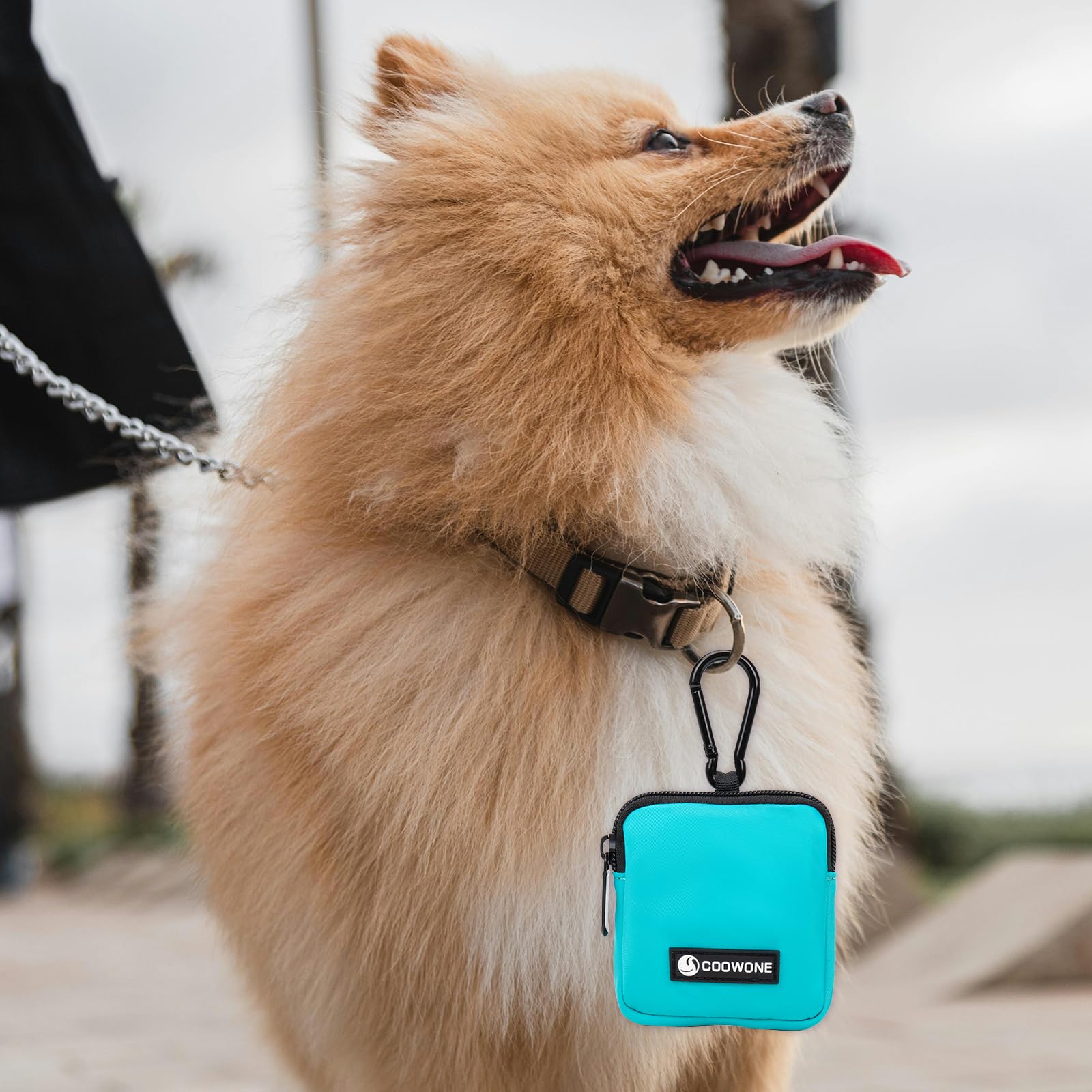 COOWONE reinforced carabiner connection adds durability for outdoor use.
