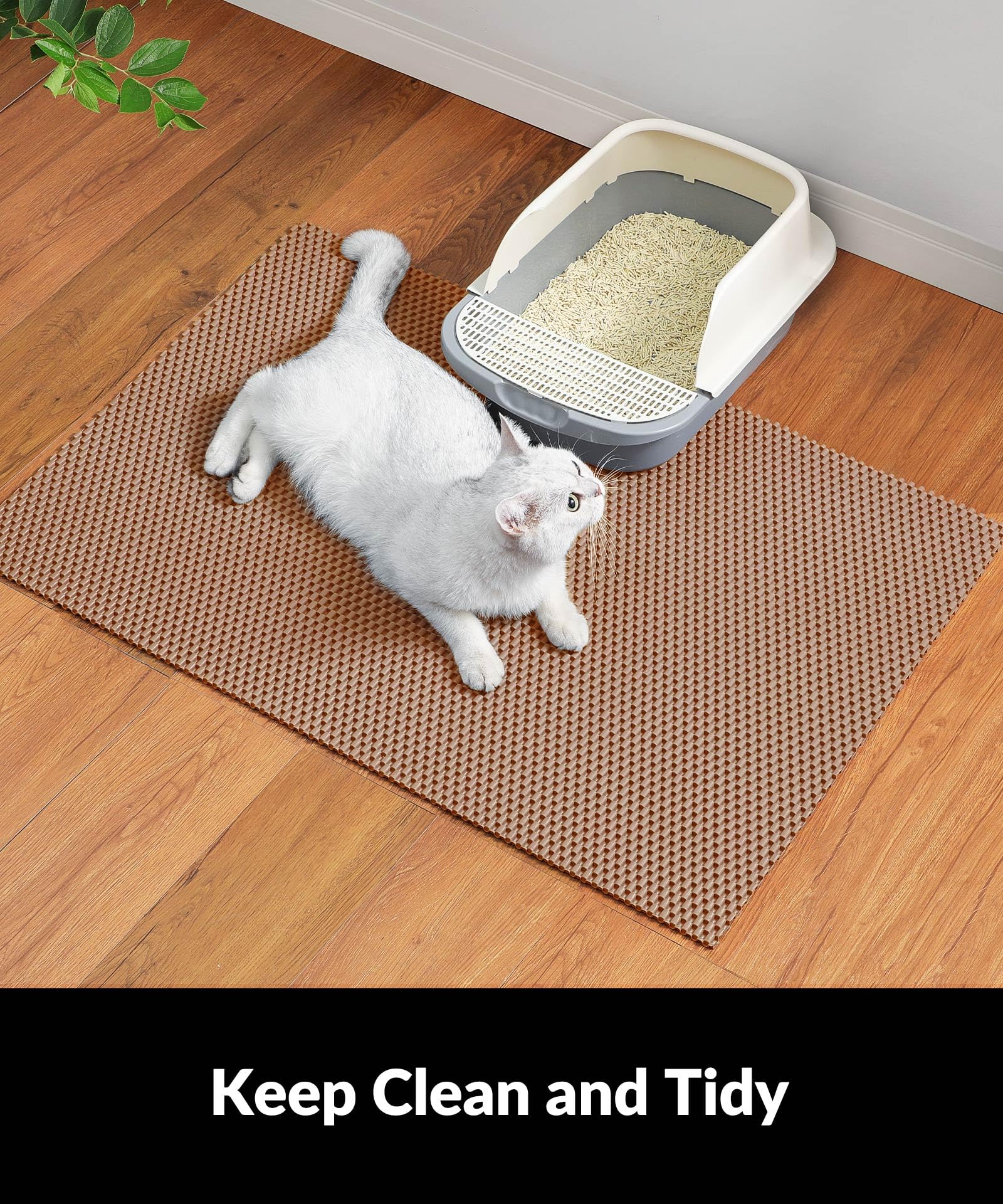 Cooyes cat stepping out of box with mat beneath