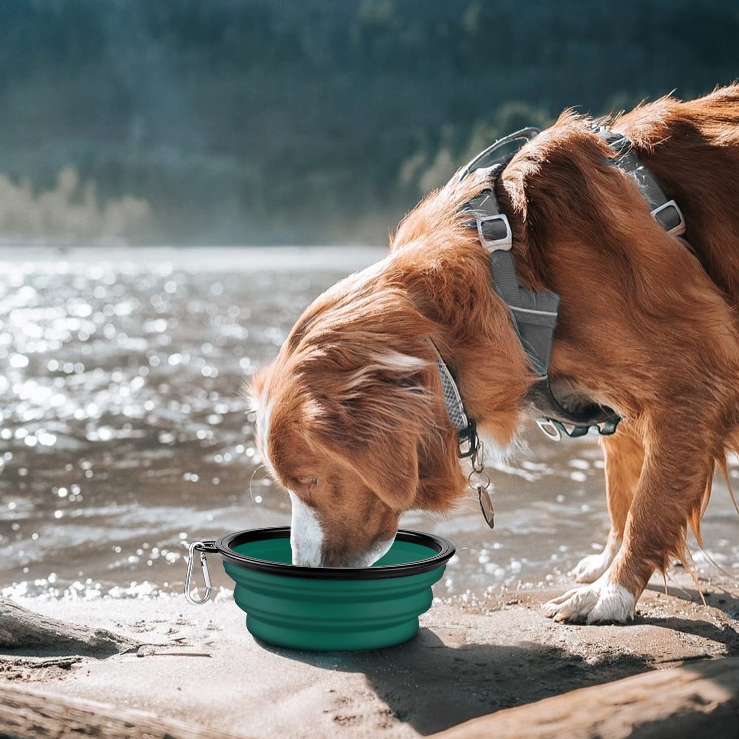COOYOO collapsible dog bowl open dish ready for water or food on walks