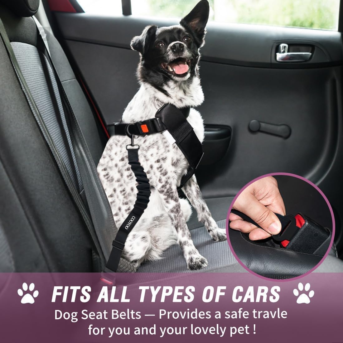 COOYOO dog seat belt adjustable length demonstrates 24–31 inch range for comfy positioning.