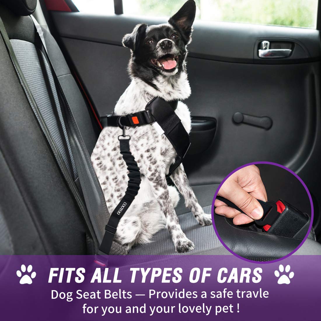 COOYOO elastic-buffer highlights cushioned travel during sudden braking for pet comfort.