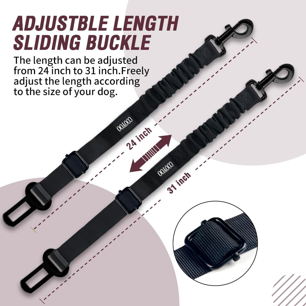 COOYOO satisfaction-pack image shows two belts and a collapsible water bowl
