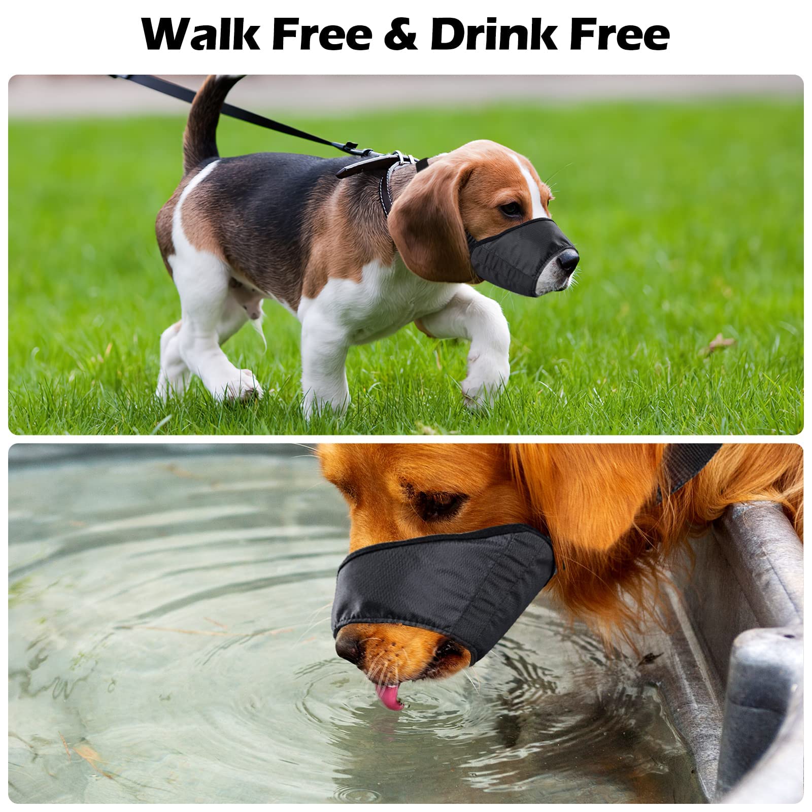 CooZero large-dogs-fit muzzle demonstrates adjustable design for bigger breeds.