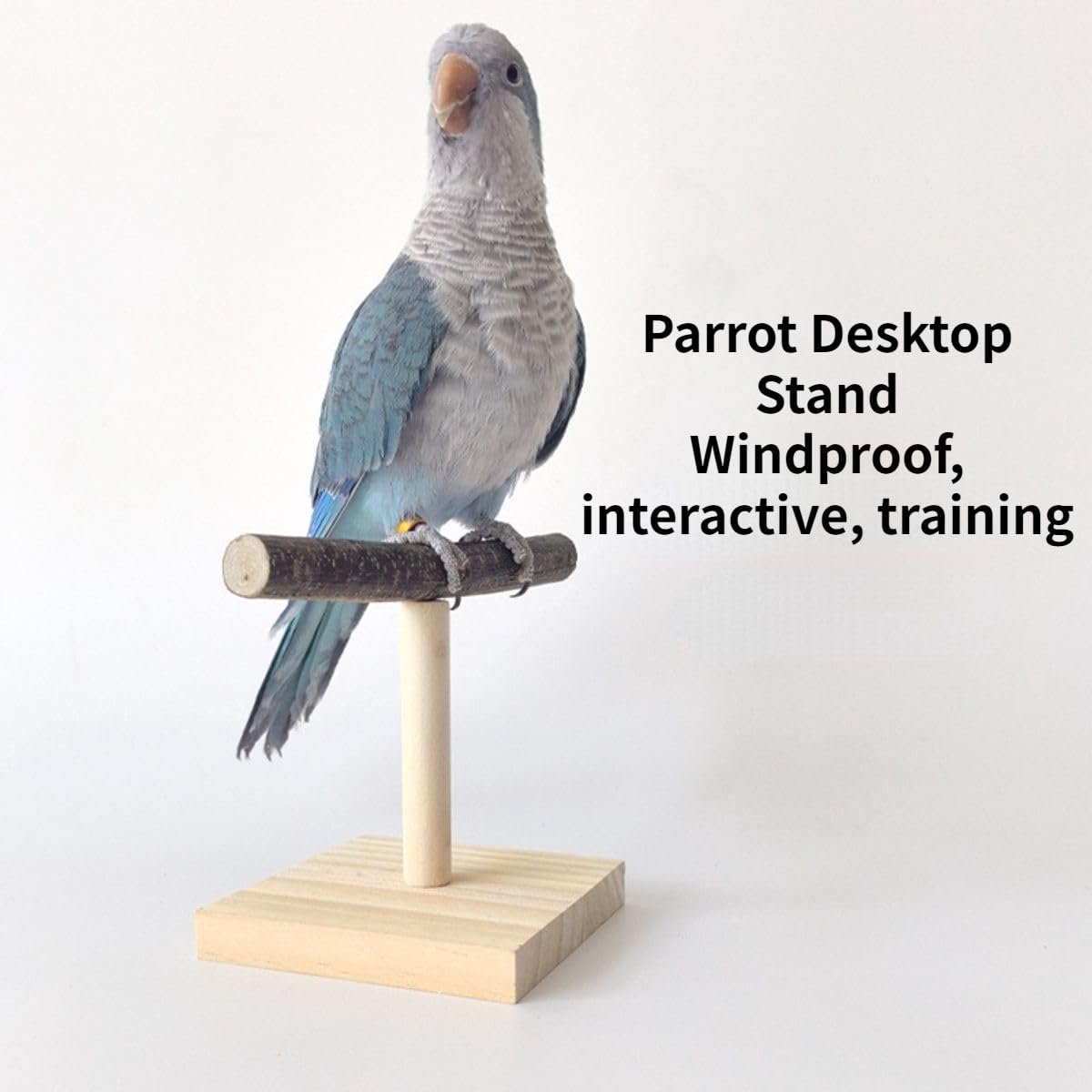 Copfeu Bird Perch Stand assembly shows quick, tool-free setup for busy owners