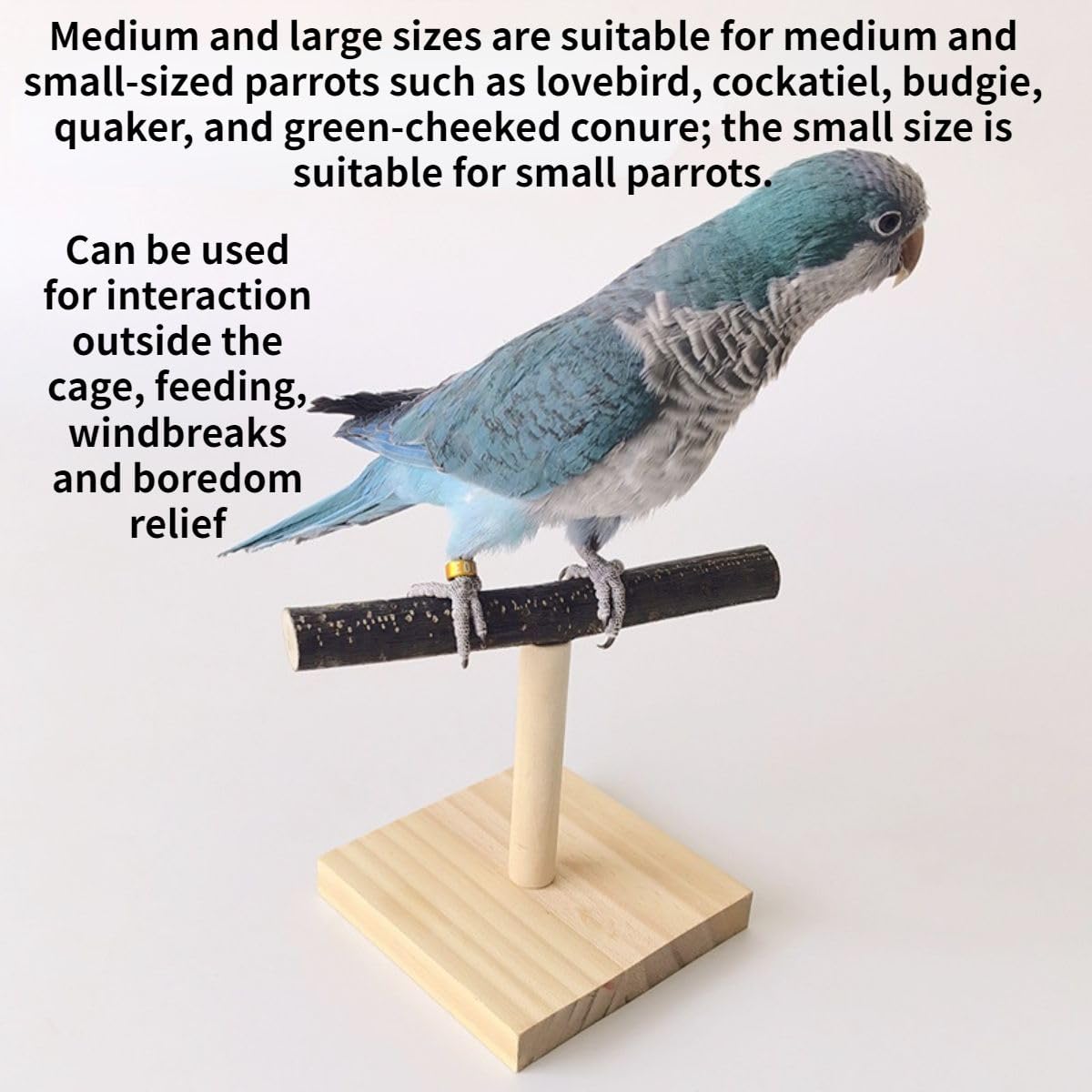 Copfeu Bird Perch Stand tabletop use depicts portable training platform onsite
