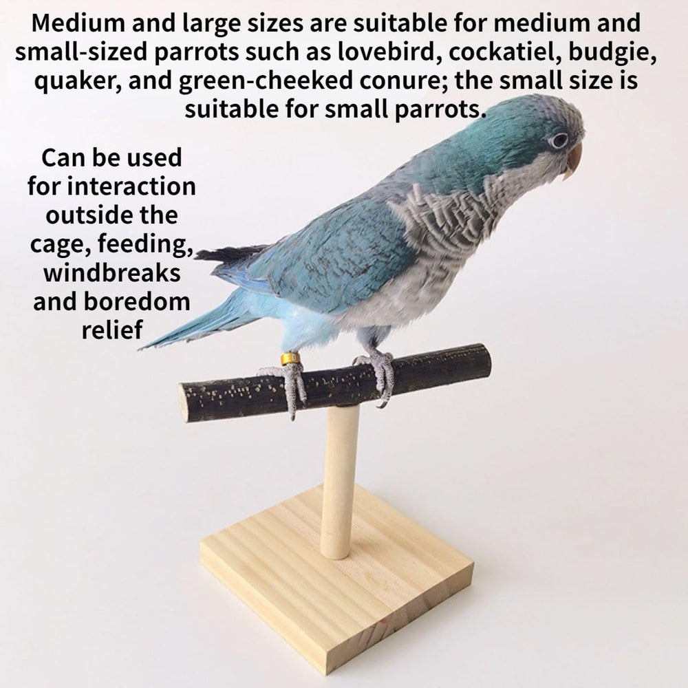 Copfeu Bird Perch Stand tabletop use depicts portable training platform onsite
