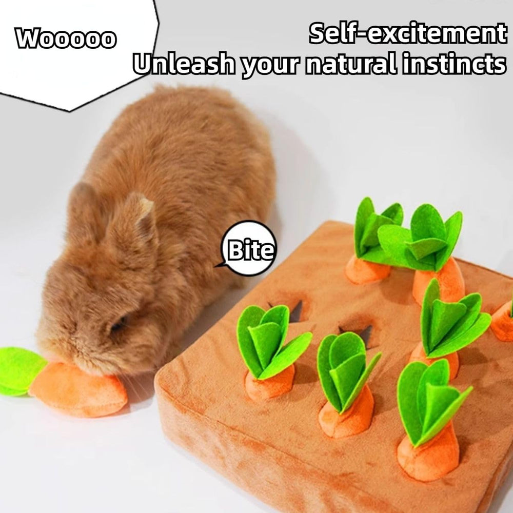 Copfeu mat and carrot packaging showing size options