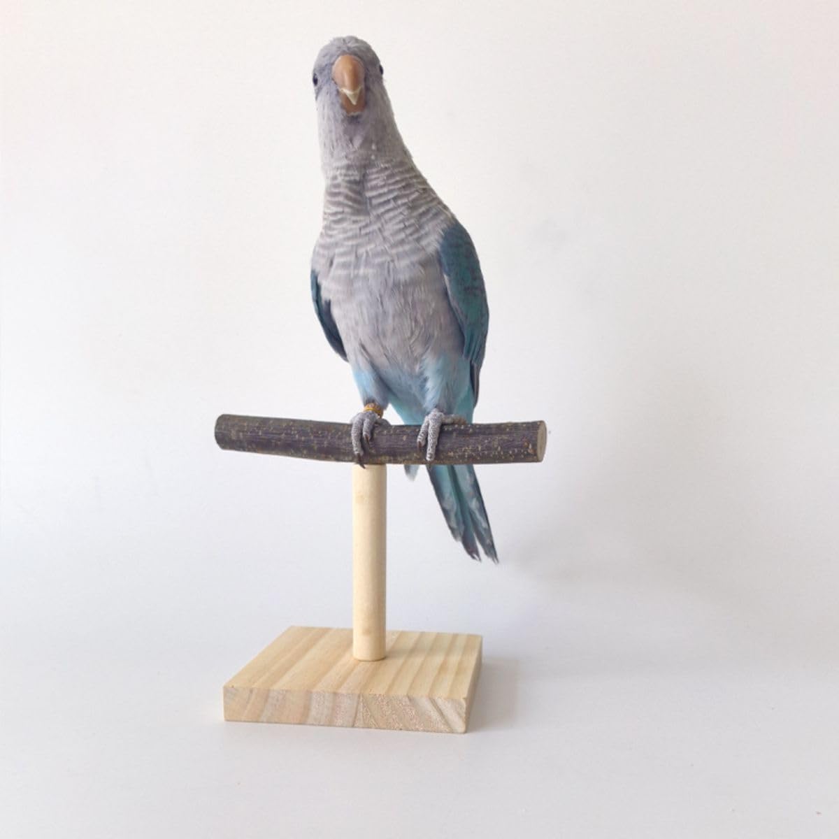 Copfeu Parrot Stand packaging highlights compact, ready-to-assemble presentation
