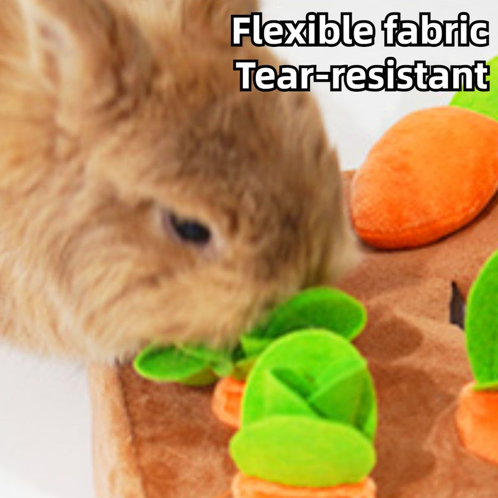 Copfeu XL size mat and carrot toy set for larger small animals