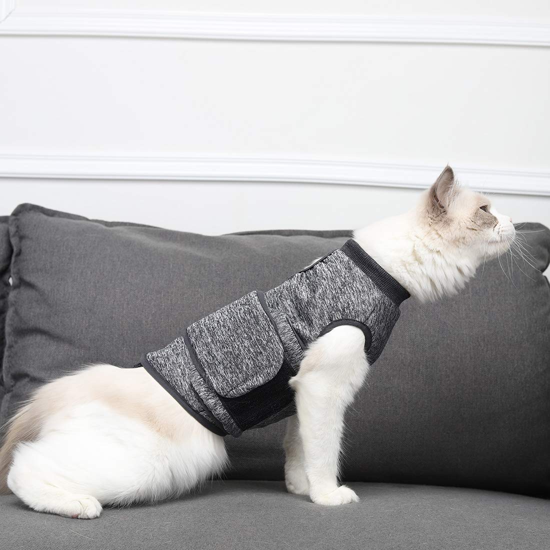 Coppthinktu cat anxiety jacket on cat wearing demonstrates snug fit during activity.